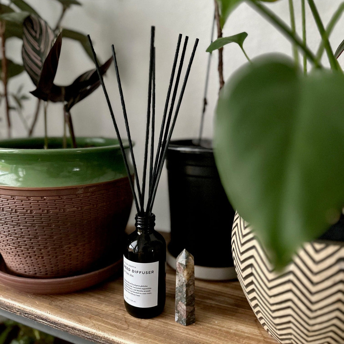 Of The Sea — Eucalyptus + Lavender Reed Diffuser