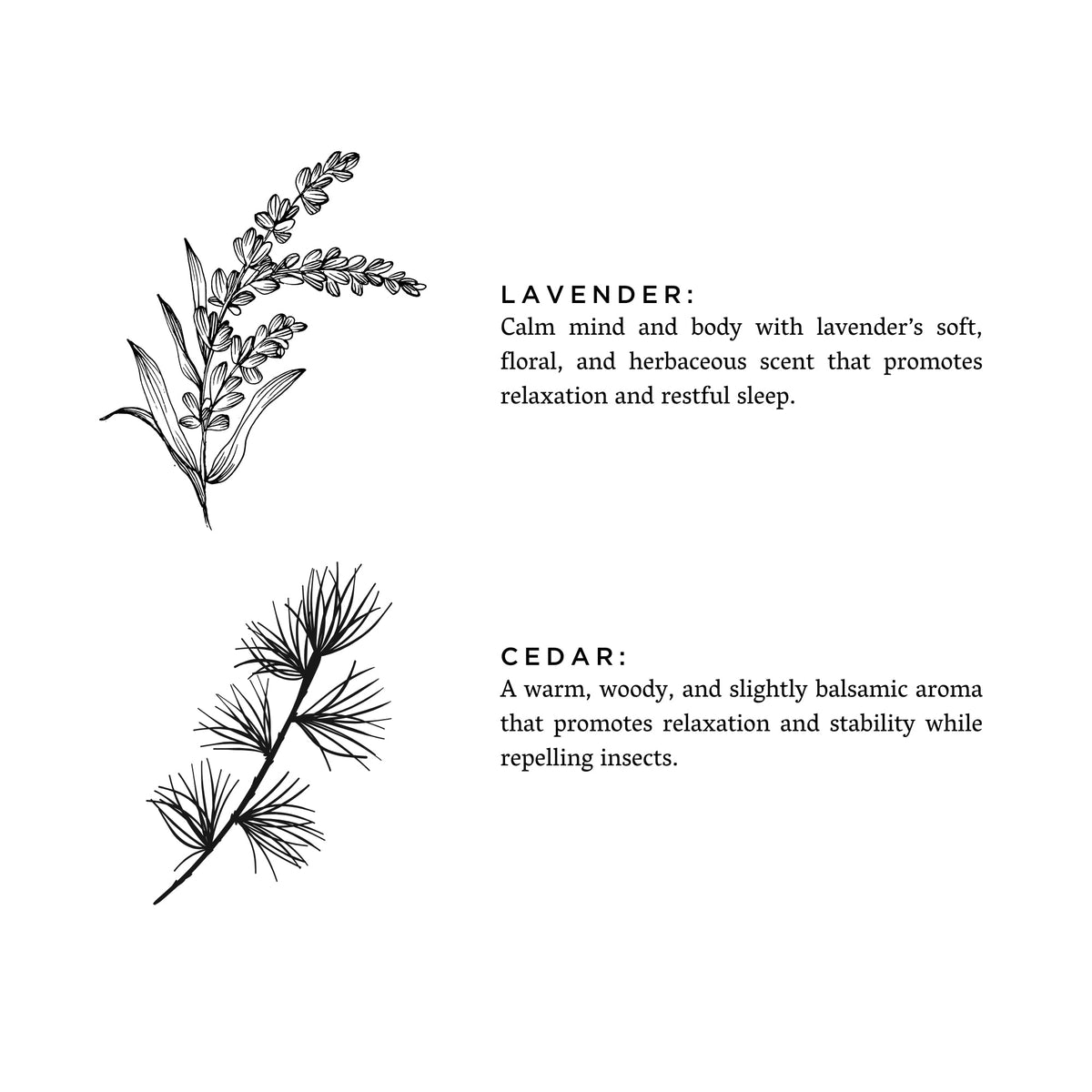 Lavender + Cedar Signature Candle