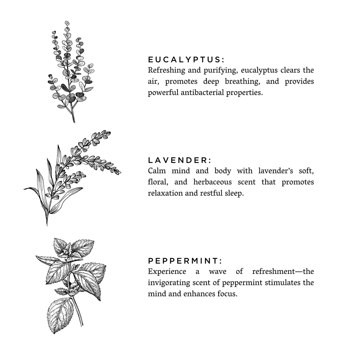 Of The Sea — Eucalyptus + Lavender Reed Diffuser