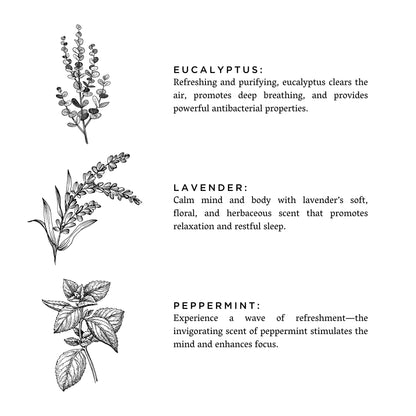 Of The Sea — Eucalyptus + Lavender Reed Diffuser